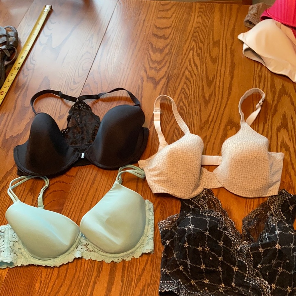 36D bra